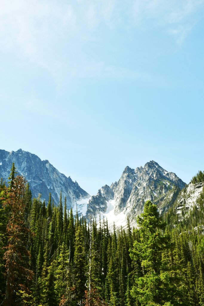 Mountains and trees behind a lake. Photo by Reed Geiger on Unsplash